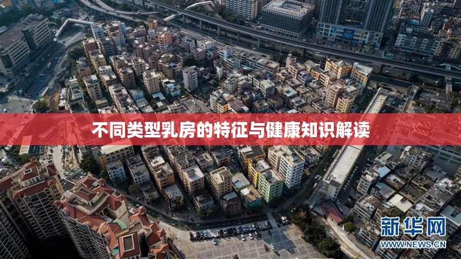 不同类型乳房的特征与健康知识解读