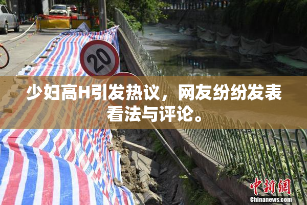 少妇高H引发热议，网友纷纷发表看法与评论。