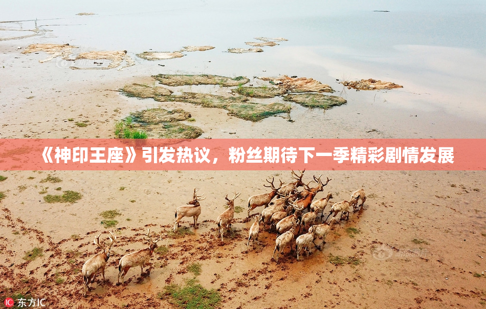 《神印王座》引发热议，粉丝期待下一季精彩剧情发展