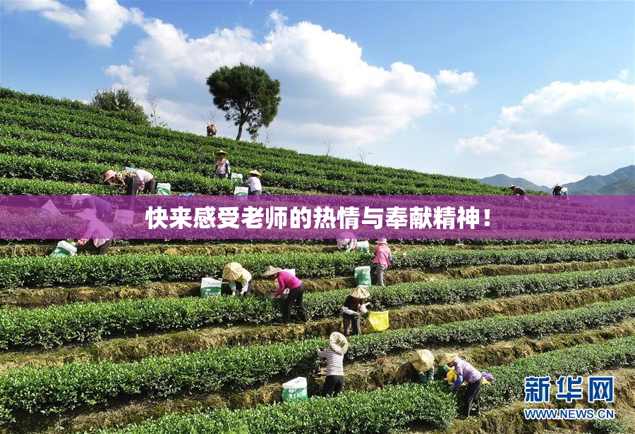 快来感受老师的热情与奉献精神！