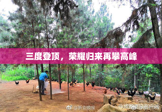三度登顶，荣耀归来再攀高峰
