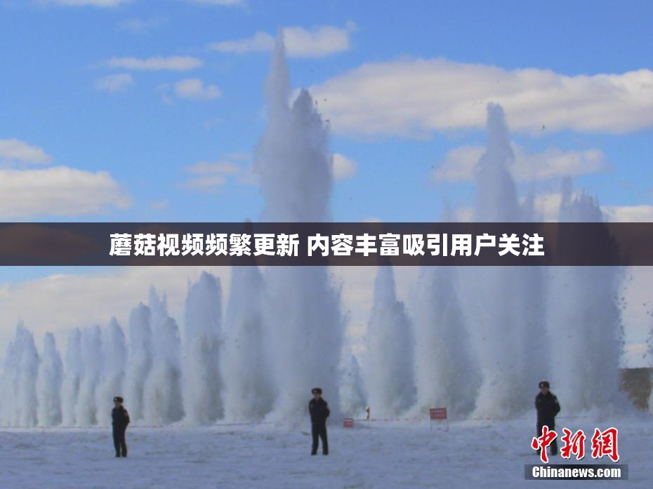 蘑菇视频频繁更新 内容丰富吸引用户关注