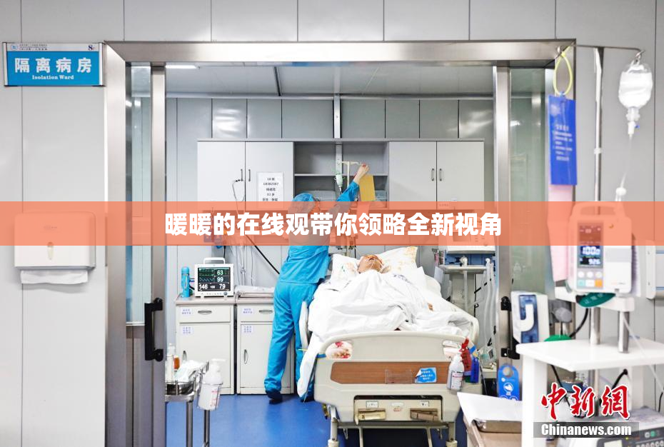 暖暖的在线观带你领略全新视角