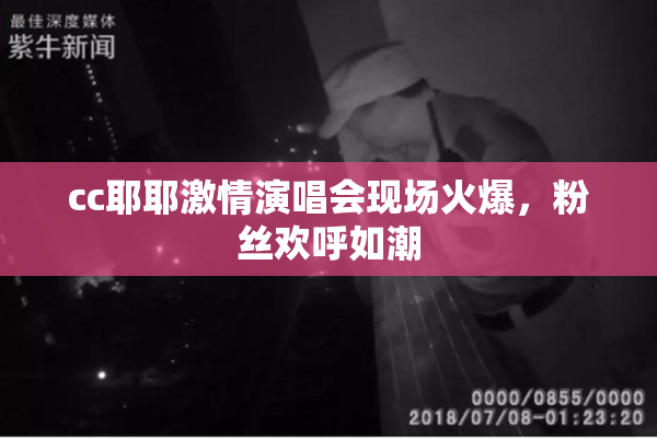 cc耶耶激情演唱会现场火爆，粉丝欢呼如潮