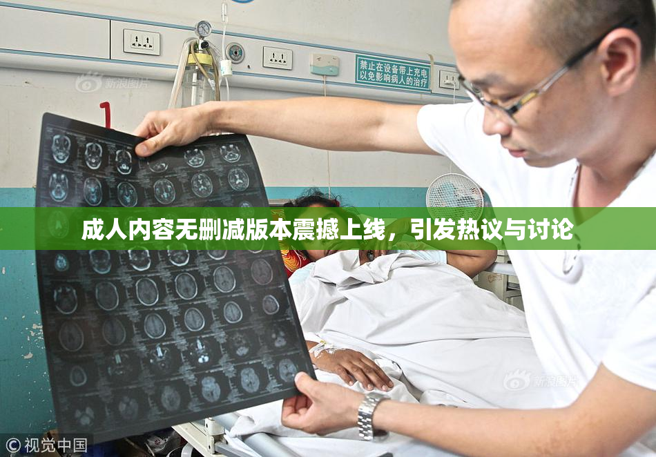 成人内容无删减版本震撼上线，引发热议与讨论