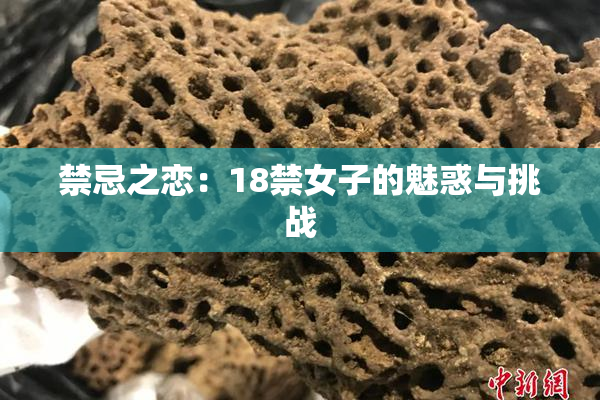 禁忌之恋：18禁女子的魅惑与挑战