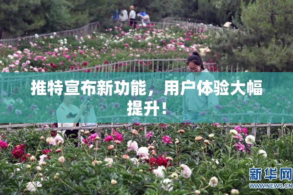 推特宣布新功能，用户体验大幅提升！