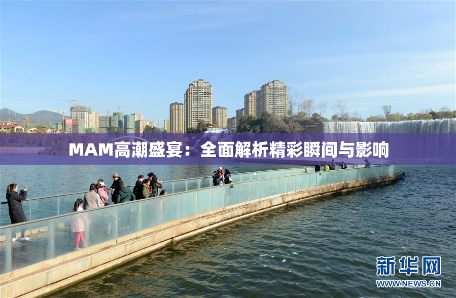 MAM高潮盛宴：全面解析精彩瞬间与影响