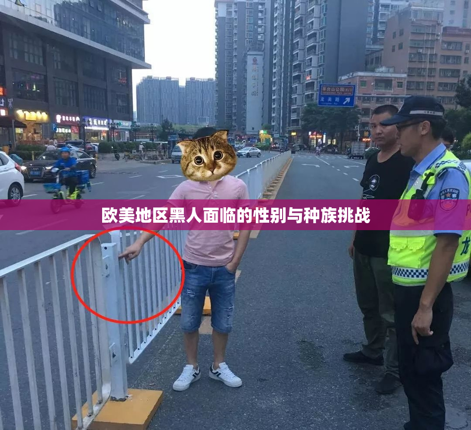 欧美地区黑人面临的性别与种族挑战