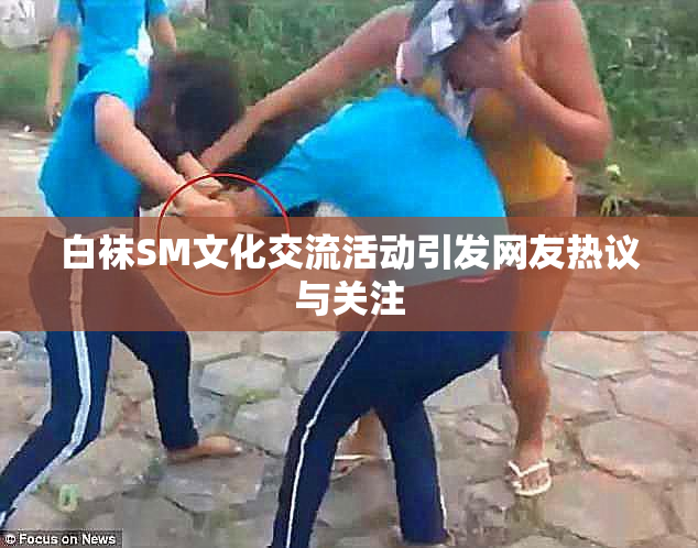 白袜SM文化交流活动引发网友热议与关注