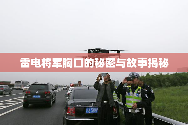 雷电将军胸口的秘密与故事揭秘