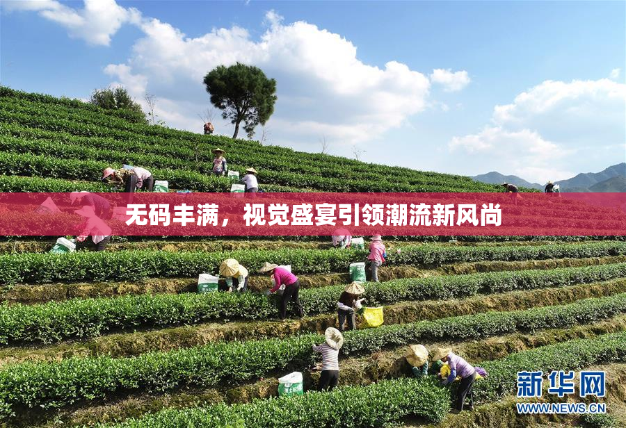 无码丰满，视觉盛宴引领潮流新风尚