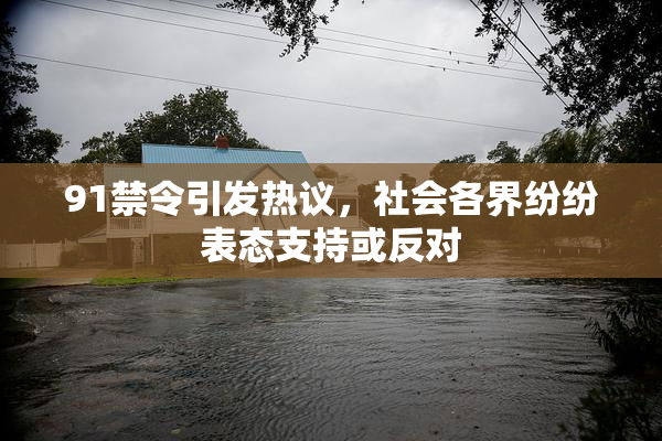 91禁令引发热议，社会各界纷纷表态支持或反对
