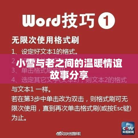 小雪与老之间的温暖情谊故事分享