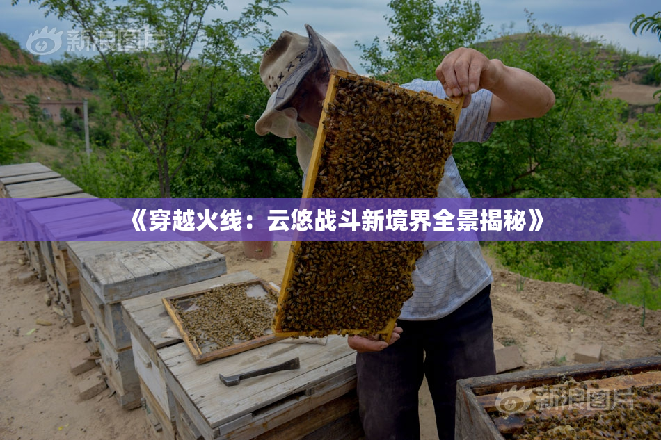 《穿越火线：云悠战斗新境界全景揭秘》