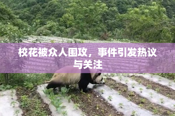 校花被众人围攻，事件引发热议与关注