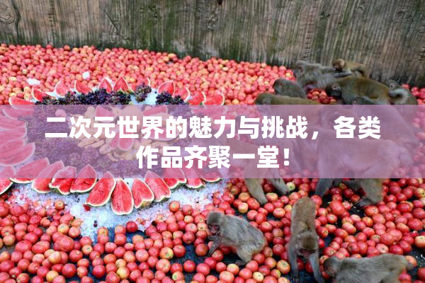 二次元世界的魅力与挑战，各类作品齐聚一堂！
