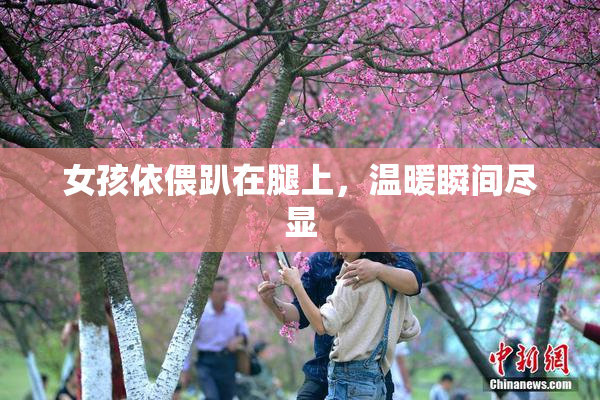 女孩依偎趴在腿上，温暖瞬间尽显