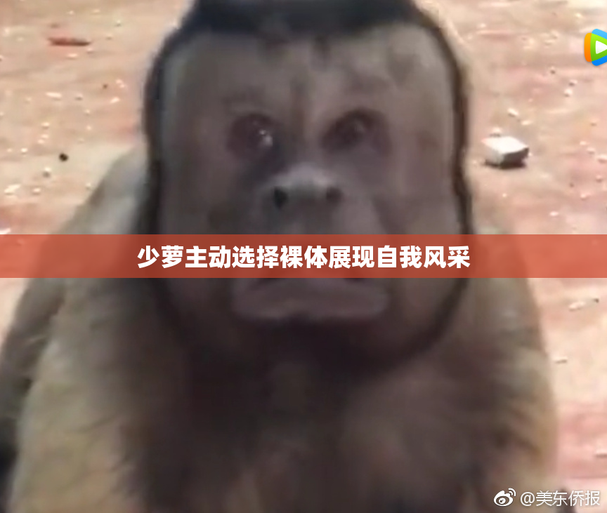 少萝主动选择裸体展现自我风采