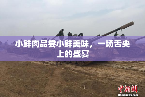 小鲜肉品尝小鲜美味，一场舌尖上的盛宴