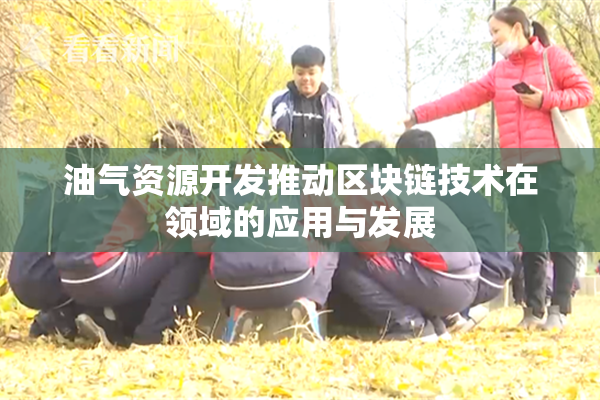 油气资源开发推动区块链技术在领域的应用与发展