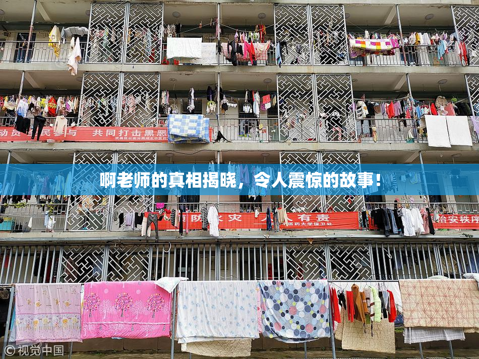 啊老师的真相揭晓，令人震惊的故事！