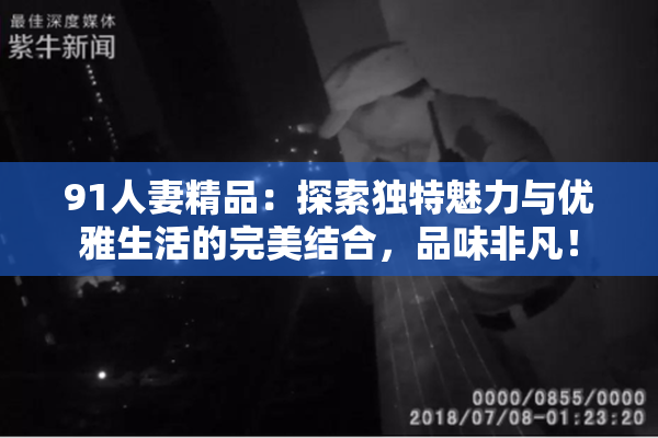 91人妻精品：探索独特魅力与优雅生活的完美结合，品味非凡！