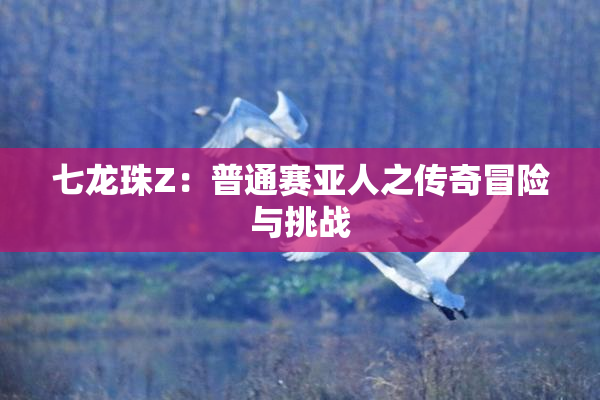 七龙珠Z：普通赛亚人之传奇冒险与挑战