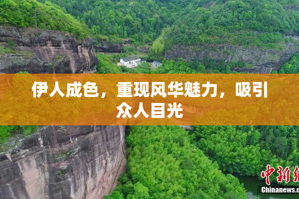 伊人成色，重现风华魅力，吸引众人目光