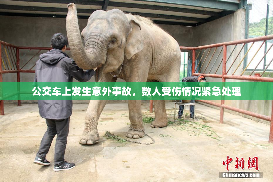 公交车上发生意外事故，数人受伤情况紧急处理