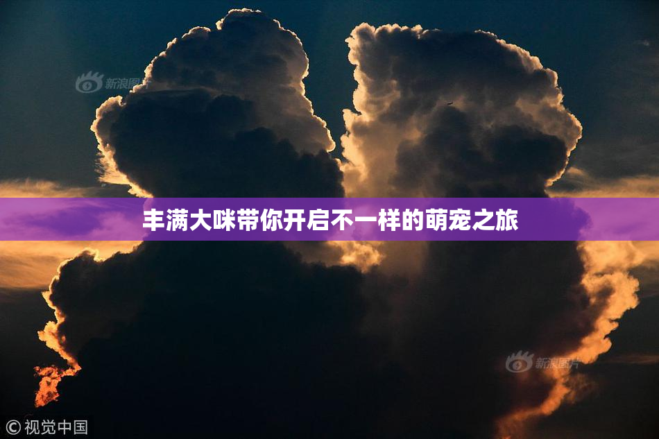 丰满大咪带你开启不一样的萌宠之旅