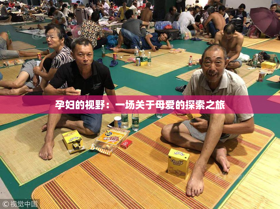 孕妇的视野：一场关于母爱的探索之旅