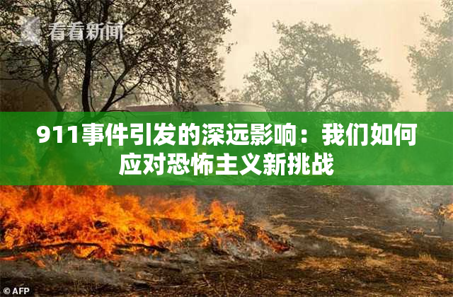 911事件引发的深远影响：我们如何应对恐怖主义新挑战