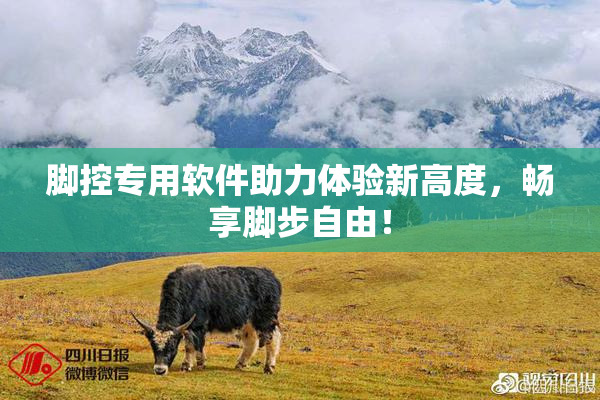 脚控专用软件助力体验新高度，畅享脚步自由！