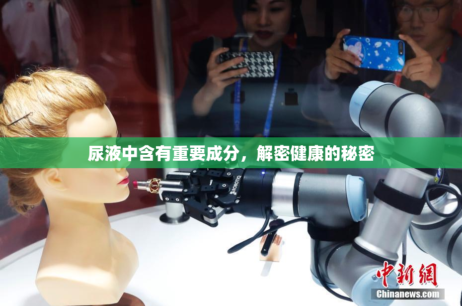 尿液中含有重要成分，解密健康的秘密