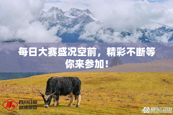 每日大赛盛况空前，精彩不断等你来参加！