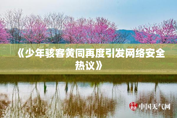 《少年骇客黄同再度引发网络安全热议》