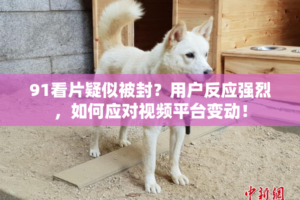 91看片疑似被封？用户反应强烈，如何应对视频平台变动！
