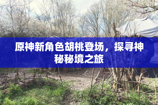 原神新角色胡桃登场，探寻神秘秘境之旅
