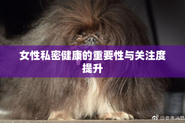 女性私密健康的重要性与关注度提升