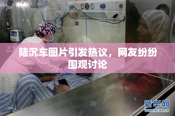陆沉车图片引发热议，网友纷纷围观讨论