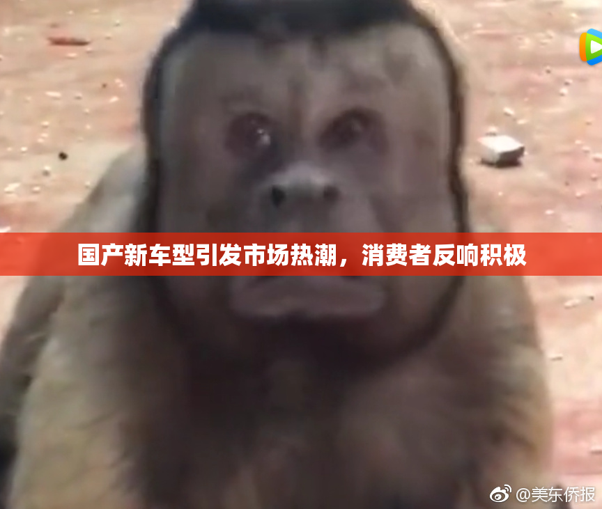 国产新车型引发市场热潮，消费者反响积极