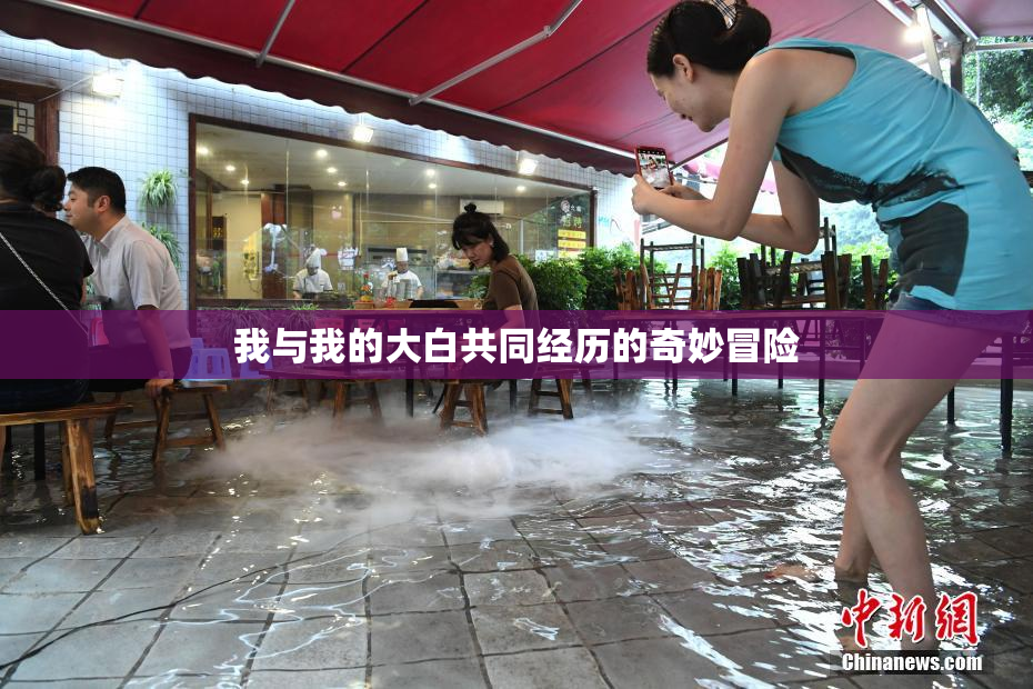我与我的大白共同经历的奇妙冒险