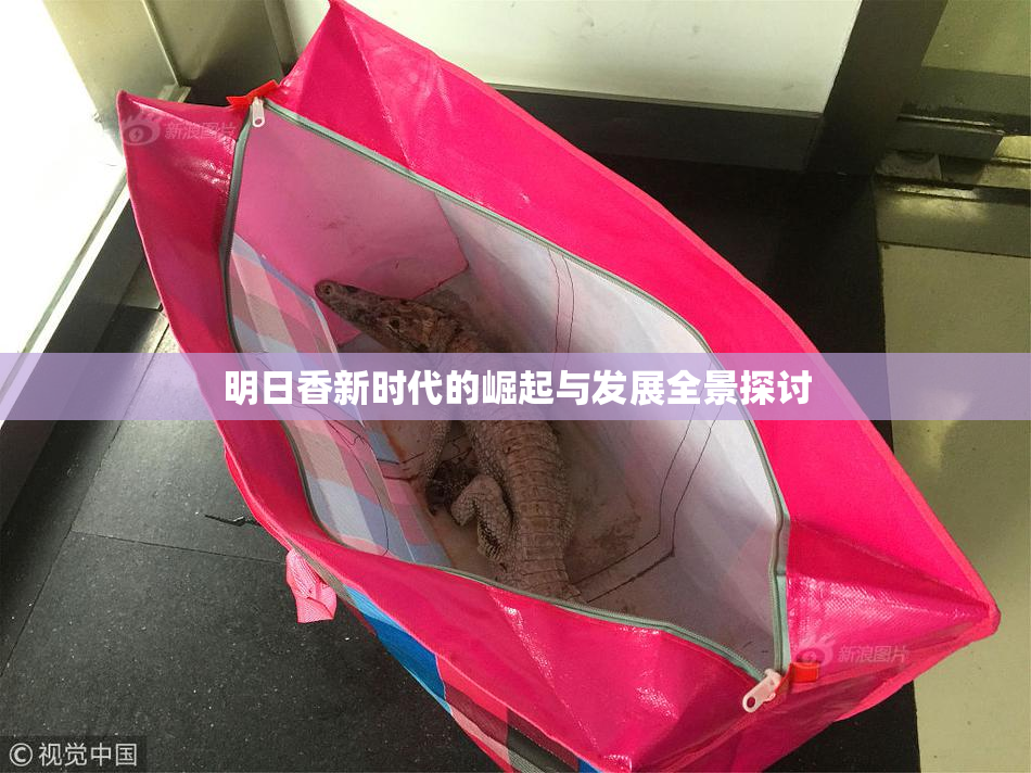 明日香新时代的崛起与发展全景探讨