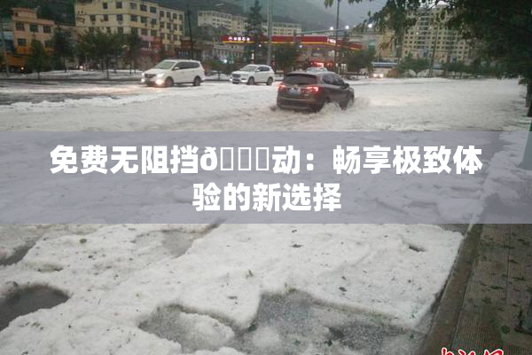 免费无阻挡🔞动：畅享极致体验的新选择