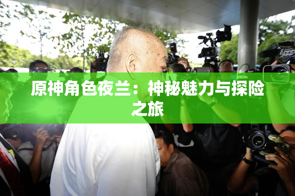 原神角色夜兰：神秘魅力与探险之旅