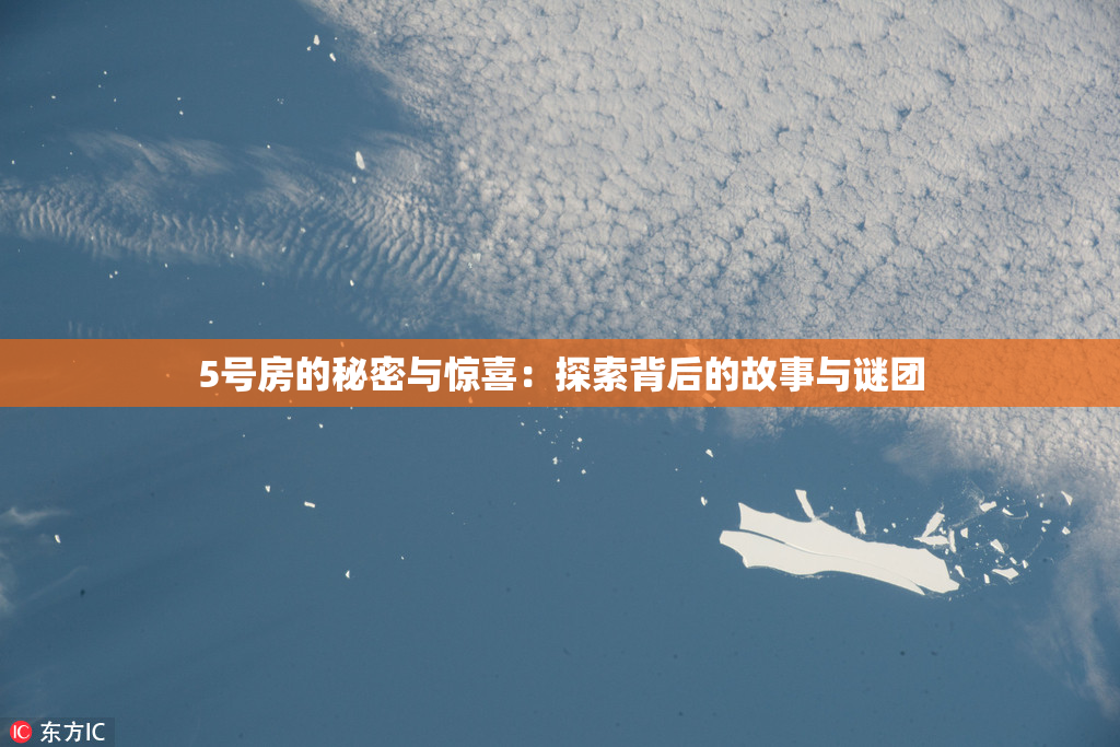 5号房的秘密与惊喜：探索背后的故事与谜团
