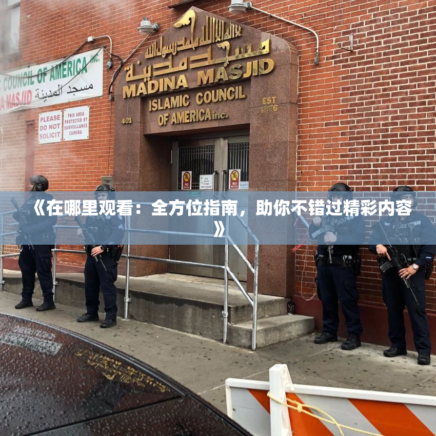 《在哪里观看：全方位指南，助你不错过精彩内容》