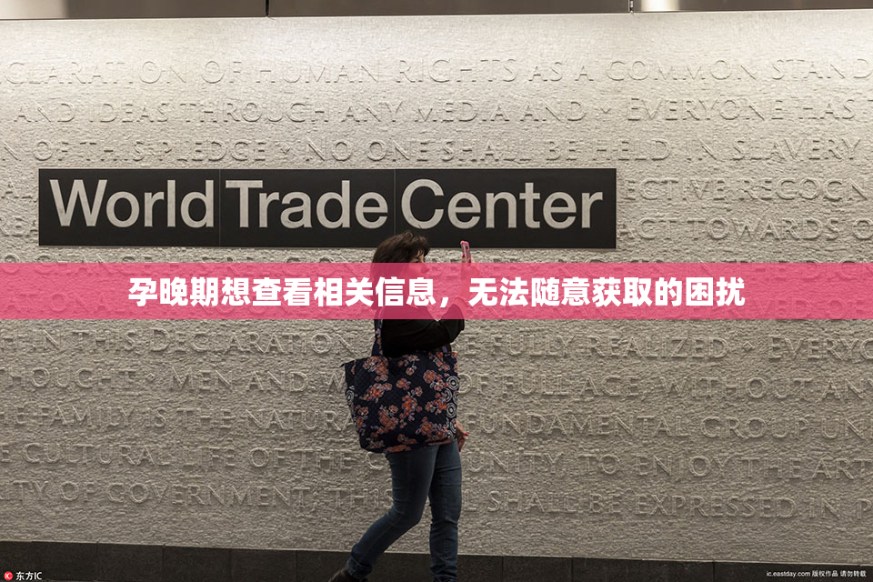 孕晚期想查看相关信息，无法随意获取的困扰
