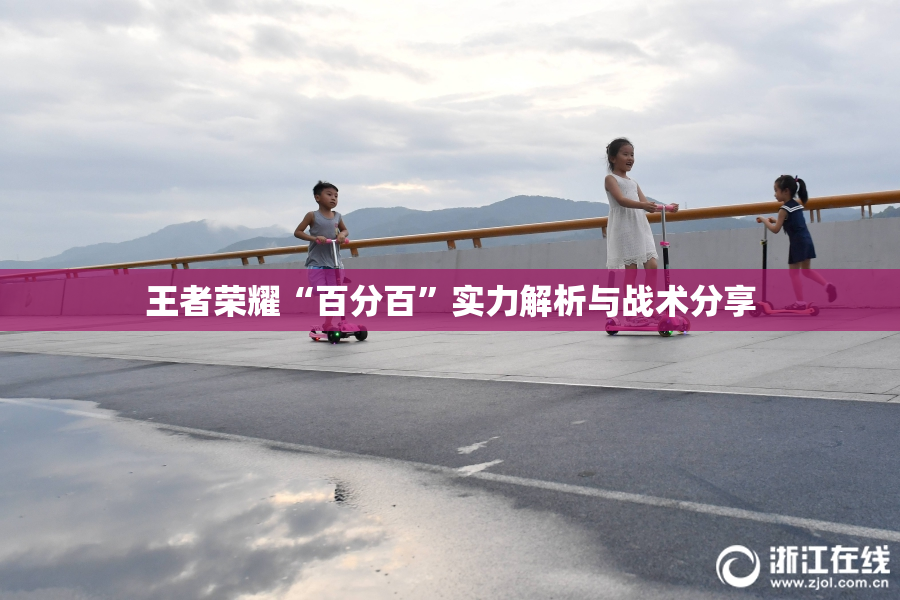 王者荣耀“百分百”实力解析与战术分享